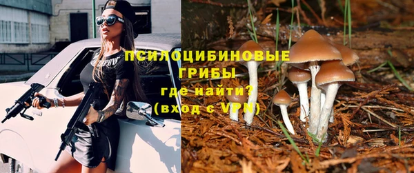 каннабис Беломорск