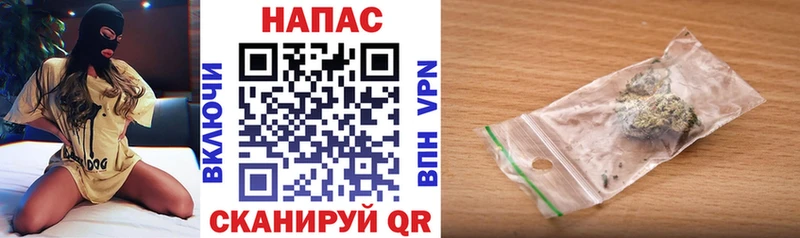 Каннабис сатива  Купить закладки  Энем 